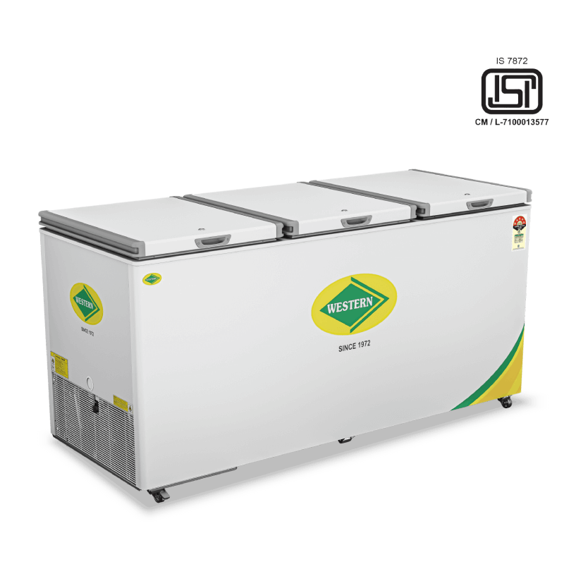 Western D875H325 Triple Door Deep Freezer