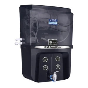 KENT Grand Plus B