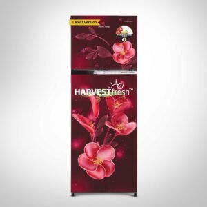 Voltas Beko 268 L, 2 Star, Frost Free Double Door Refrigerator (RFF315D/WPV300RMWD, Moonlight Wine)